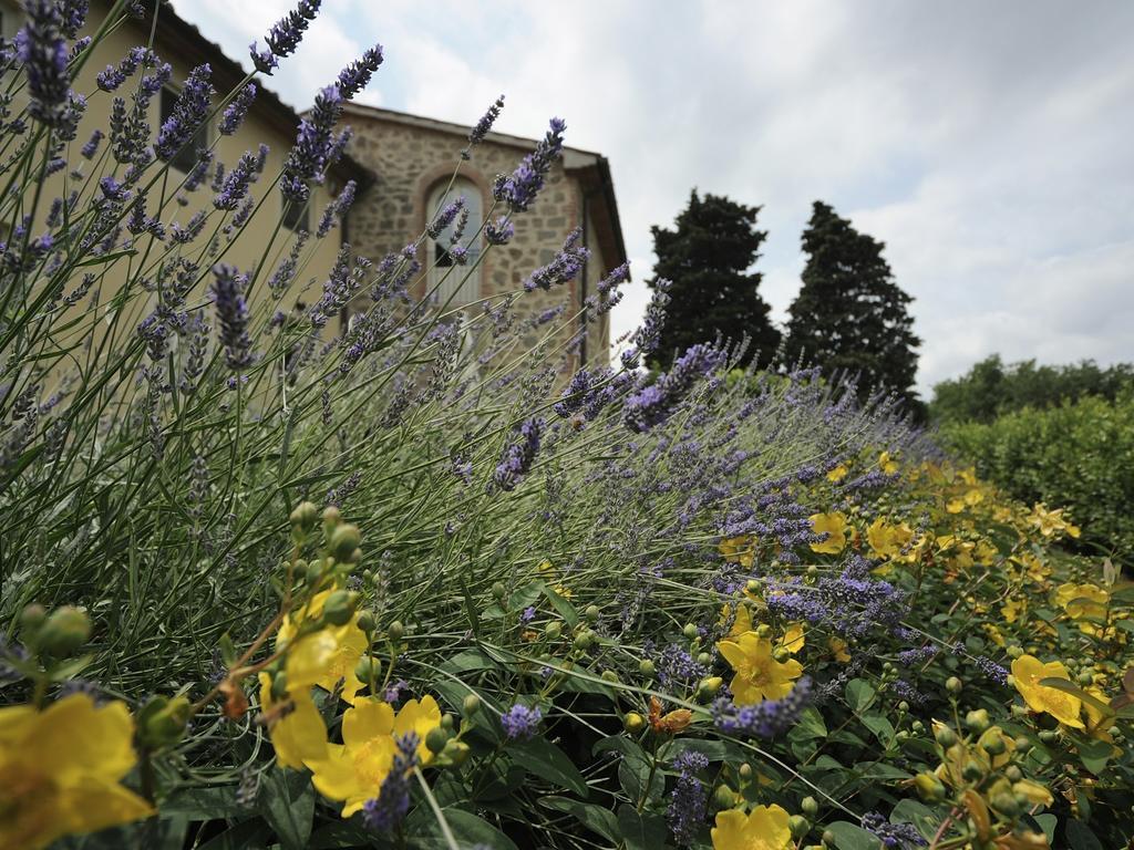 Maison d'hôtes Borgo Casalvento à Cantagrillo Extérieur photo